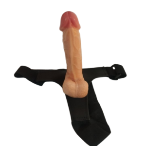 dildo dinosaurio (18)